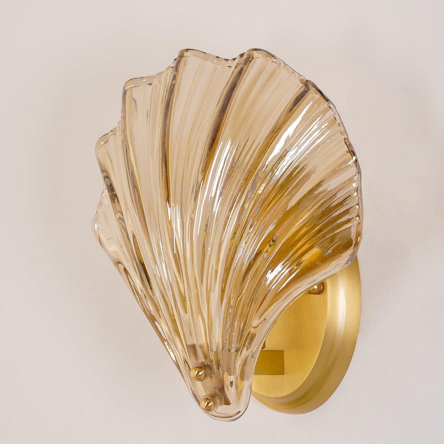 Shell - Gentle and Refined Lighting